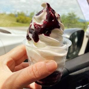 道の駅しもごう・Ematto