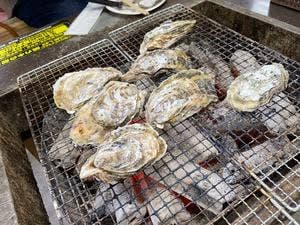牡蠣ののぶりん