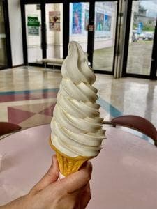 道の駅 コスモール大樹