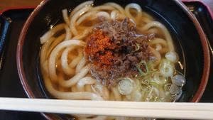春の家うどん