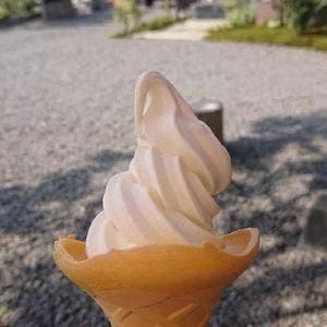 ブルーベリー園むら田