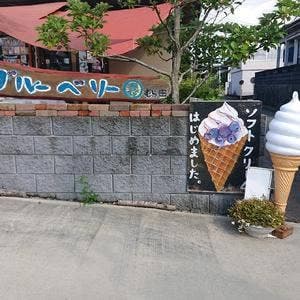 ブルーベリー園むら田