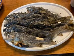 赤見温泉フィッシングフラワーパーク