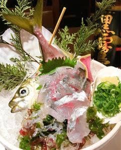 海鮮磯料理 磯くら 青葉台店