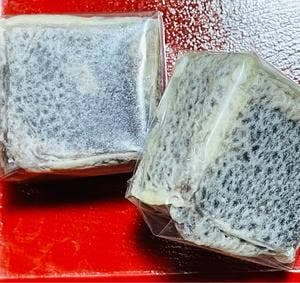 梅花亭深川不動尊仲見世店