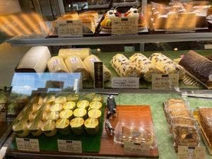 ヒロタ