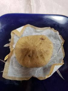 満天星 一休 苗木店