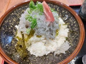 安芸しらす食堂 高知とさのさと店