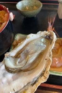 三陸海鮮料理 たからや食堂