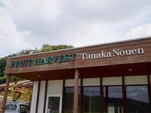 ブドウカフェ FRUIT HARVEST 田中農園