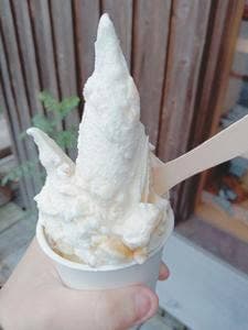 イタリアンジェラート ドルチェ