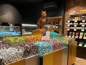 CACAOCAT 半田店
