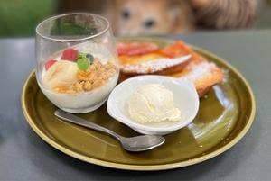 ロイヤルガーデンカフェ 青山