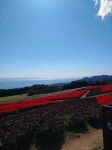 Galleri