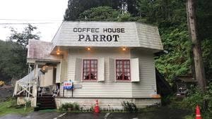 COFFEE HOUSE PARROT