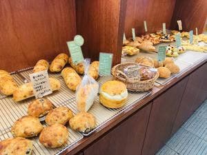 de tout painduce 大聖寺店