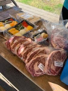 WILD MAGIC -The Rainbow Farm-