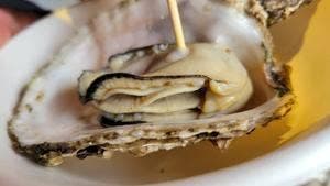 奥能登 山海市場