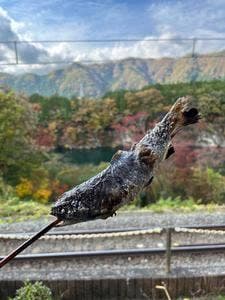 大瀞ドライブイン