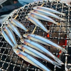 野毛ホルモンビル 出逢い酒場 大夢