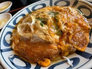 土佐うどん