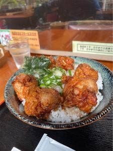 大分からあげ とらい