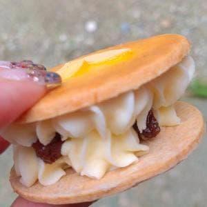 大宜味シークヮーサーパーク