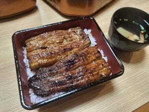 みどり鮨