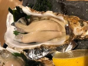 寅八商店 心斎橋店