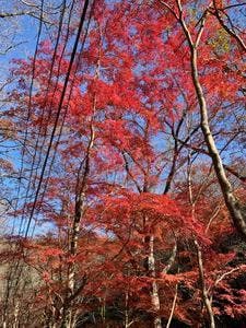 あぶり焼肉煙家