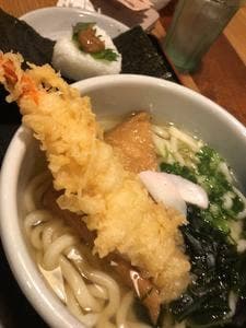 麺食酒房 大真うどん