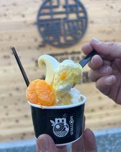 M.CITRUS FRUIT PARLOR