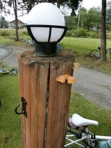 ルポゼ白馬