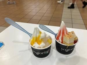 ヨゴリーノ 横浜ワールドポーターズビブレ店