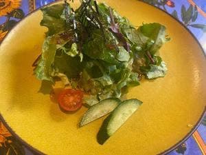 キッチン放蕩