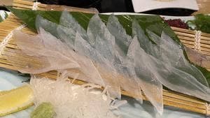 元祖いかの活造り 河太郎 博多駅店