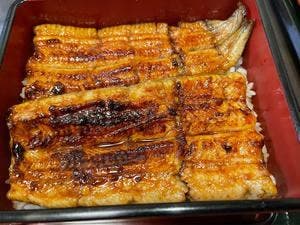 炭焼うなぎ 福禄寿