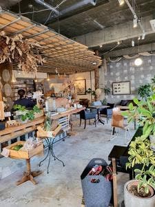 珈琲とコインランドリーのお店。ハレ
