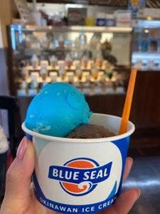 ブルーシール パレットくもじ店