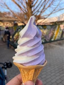 あしかがフラワーパーク フードテラス