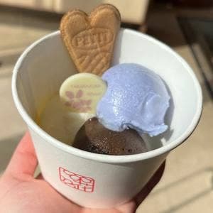 ボヌール
