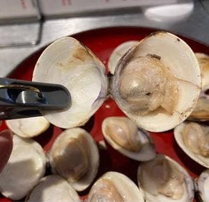 焼きはまぐりstand LINKS UMEDA店