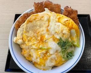 かつや 愛知岡崎インター店