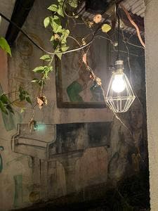 Bar Carole King