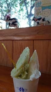 ミルキーウェイファーム