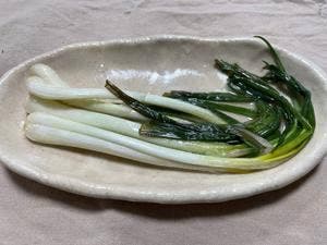 坂井善三商店