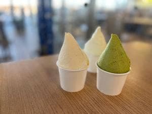 道の駅いたこ
