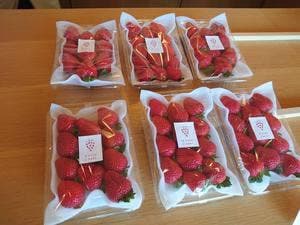 slowberry strawberry
