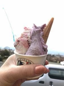 小田原牧場アイス工房