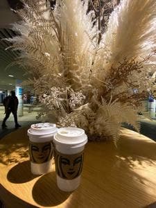 スターバックス コーヒー 大同生命札幌ビル ミレド地下1階店